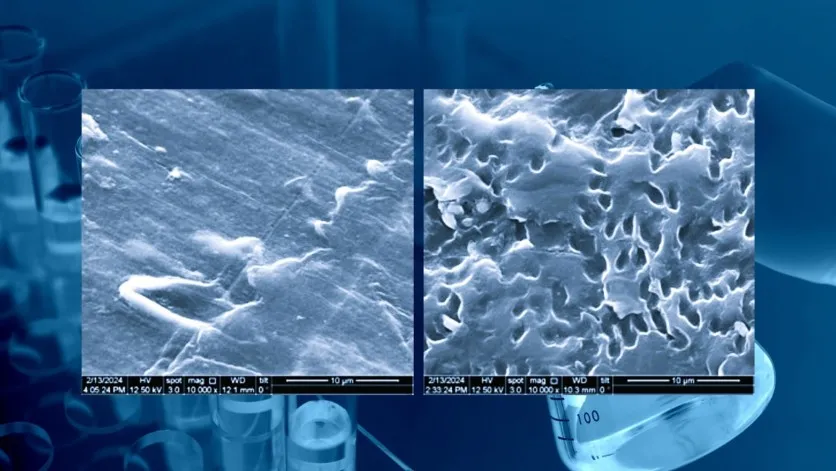 P-Life Japan Inc. Highlights the Importance of Biodegradable Plastics in Sustainability Efforts